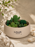 Jardin bougie "La Rocaille" grand modèle